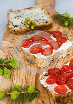 Gluten free bread,tomato,spruce branch