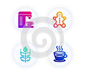 Gluten free, Coffee machine and Gingerbread man icons set. Coffee cup sign. Vector