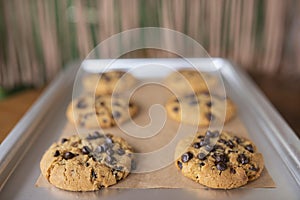 Gluten free cookies with gluten free ingredients on service tray