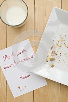 Gluten Free Cookies for Santa