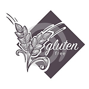 Gluten free logo, monochrome sketch outline with wheat