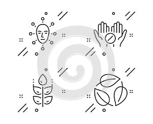 Gluten free, Medical tablet and Face biometrics icons set. Leaves sign. Vector