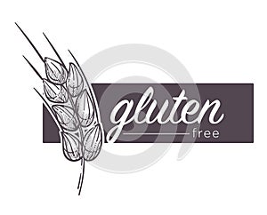 Gluten free products, poster with wheat vector.