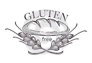 Gluten free products, poster with wheat vector.