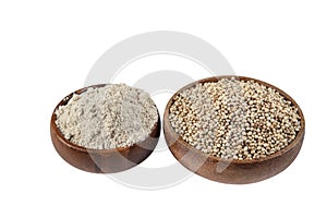 Gluten free Sorghum seeds isolated on white background.   Whole seeds of Sorghum Moench, millet, feed. A Bowl of Sprouted Sorghum