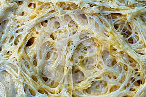Gluten strands structure, sourdough bread