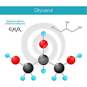 Glycerol molecule