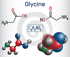 Glycine Gly or G, is the amino acid. Structural chemical form