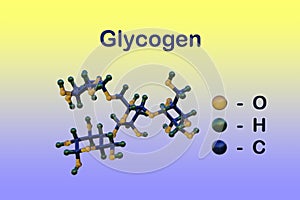 Glycogen molecule, a polysaccharide that serves as a form of energy storage of animals, fungi and bacteria. Scientific photo