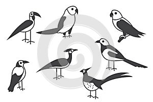 Glyph birds illustration set