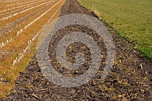 Glyphosate sprayed on grass before plowing