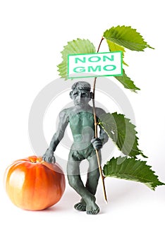 GMO concept danger figure of a man