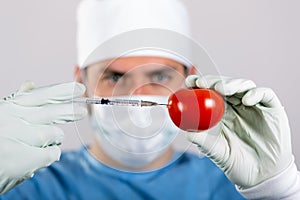 Gmo concept - scientist make injection in tomato