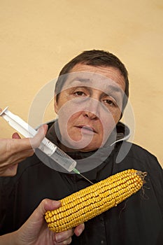 GMO corn
