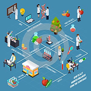 Gmo Isometric Flowchart