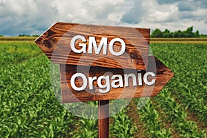 Gmo or Organic Farming Direction Sign