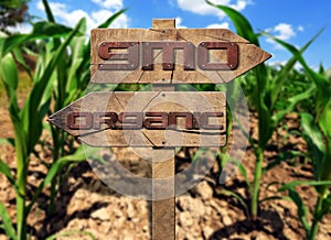 GMO and Organic Sign on a Corn Field