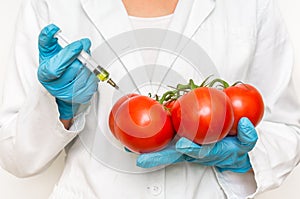GMO scientist injecting liquid from syringe into red tomatoes