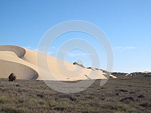 Gnaraloo Station, Western Australia