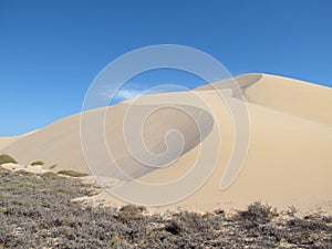 Gnaraloo Station, Western Australia