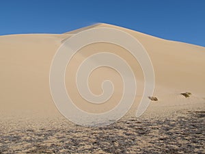 Gnaraloo Station, Western Australia