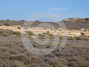 Gnaraloo Station, Western Australia