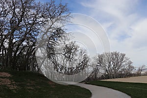 Gnarly leafless trees with twisted branches and a walkway near Salt Lake city Utah