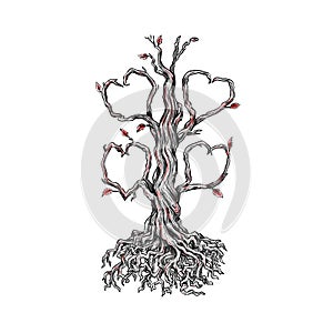 Gnarly Oak Tree Heart Tattoo photo