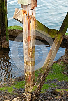 Gnarly old wooden supports for an old jetty