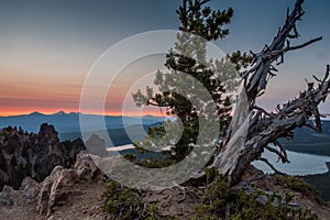 Gnarly Tree Sits Atop Paulina Peak at Sunset