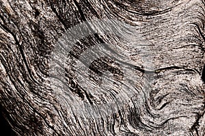 Gnarly wood texture