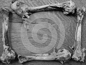A gnawed bone in the form of a frame on a wooden boar