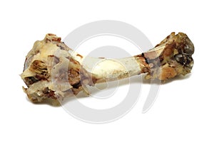 Gnawed bone of pork