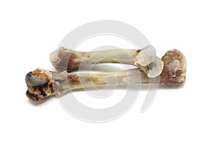 Gnawed chicken bones isolated