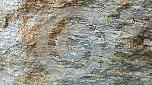 Gneiss Layered Texture Stone Background