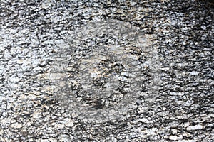 Gneiss metamorphic rock surface