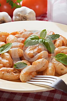 Gnocchi di patata with basilico and tomato sauce photo