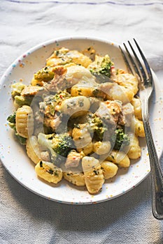 Gnocchi dumplings with chicken broccoli sauce