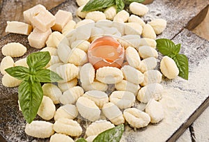 Gnocchi with potatoes. Traditional italian food from Rome, Sardinia, south of italy. Homemade gnocchi with parmesan, egg