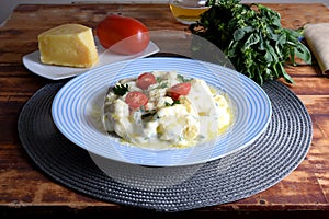 Gnocchi with white bÃ©chamel sauce, typical Italian pasta potato food