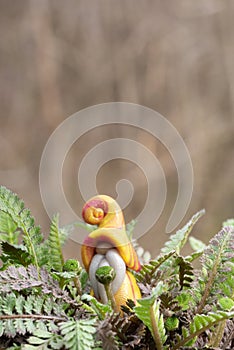 Gnome figure in brass buttons ground cover plants.