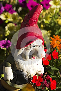 Gnome in the garden