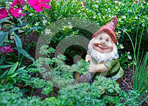 Gnome in garden photo