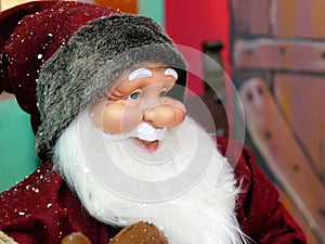 gnome hat christmar xmas portrait