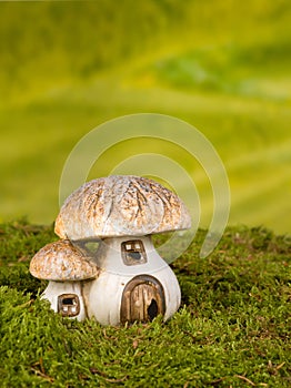 Gnome house toadstools