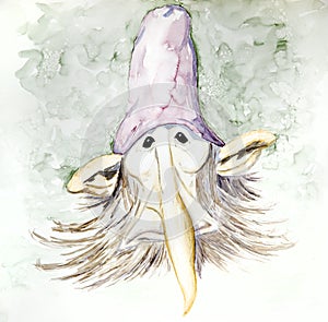 Gnome Portrait