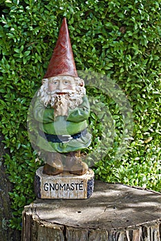 Gnome with red pointed hat in prayer position with word Gnomaste on tree stump