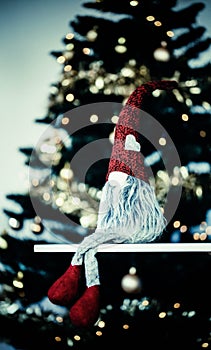 gnome sitting in front of Christmas tree