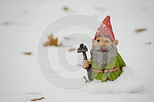 Gnome in the snow