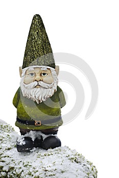 Gnome standing on snow covered mossy branch with isolated background